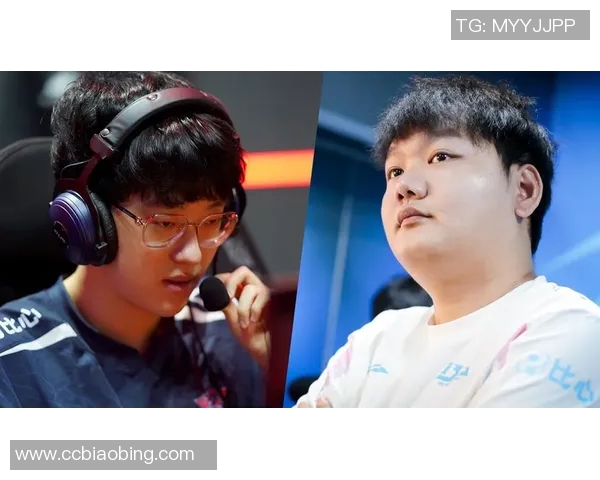 JDG战队的荣耀与挑战：DOTA2赛场上的奋斗历程全记录