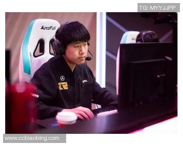 深入探讨RNG战队在比赛中的团队协作表现与数据分析结果