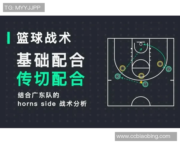 南京篮球队的战术解析与控制策略深度剖析