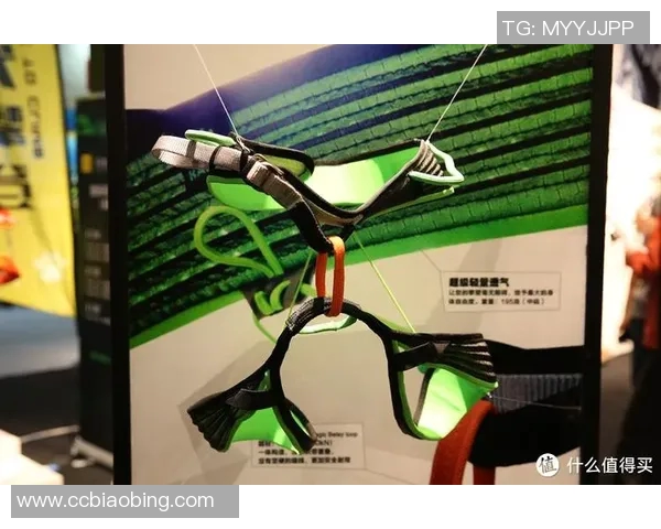 武汉攀岩队运营模式创新探索与发展路径分析