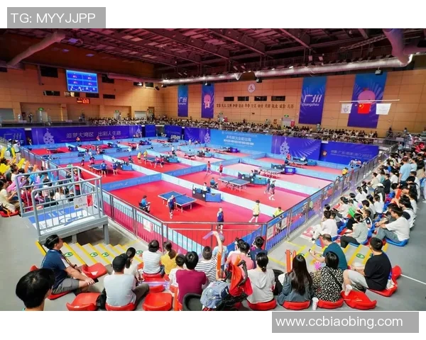 从零基础到高手之路乒乓球配合技巧全解析与实战指南