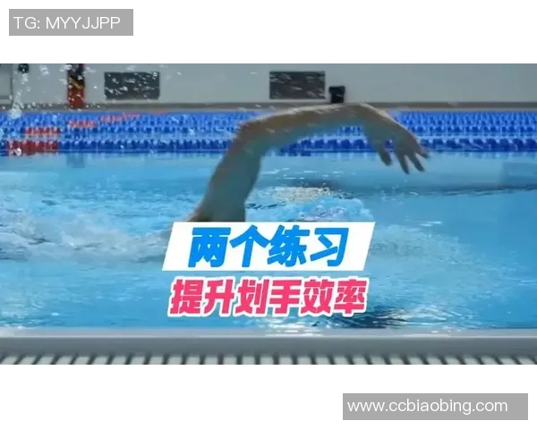 自由泳技巧与训练方法全面解析 提升游泳速度与效率的关键要素