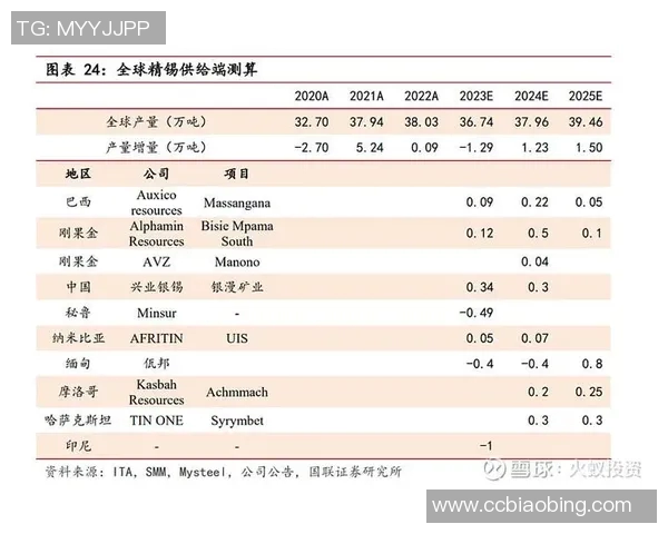 西安篮球队意识提升与团队协作的深度探讨与分析