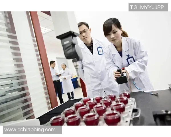 上海排球队的技术揭秘与训练背后的故事与成就分享